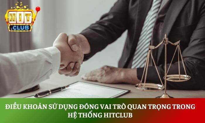 Điều khoản sử dụng