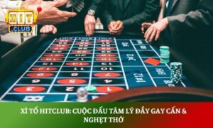xì tố hitclub